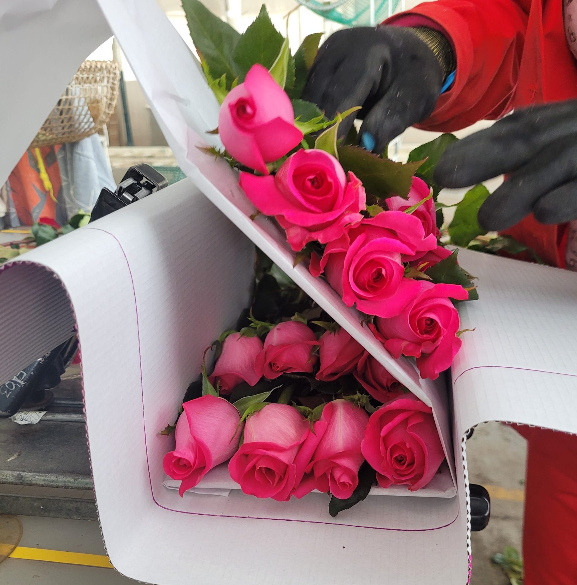 U.S. Tariffs Will Not Impact Most of Our Current Floral Pricing 