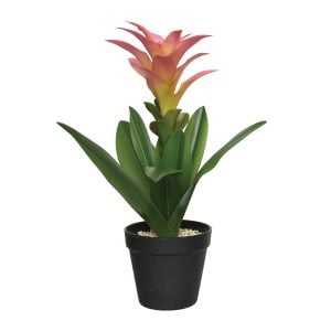 290800016PK 290800016PK (EA) - Pink/Green 15 3/4"H × 7 7/8"DIA Bromelia Plant in Pot