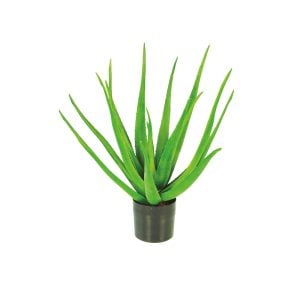 3300P7328GR 3300P7328GR (EA) - Green 23"H Aloe Potted Bush w/20 Lvs