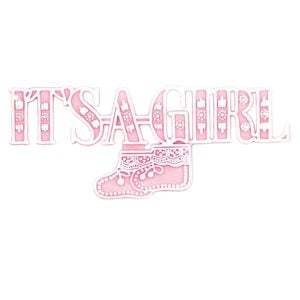 25000317PPK 25000317PPK (PKG 12) - Pink 11"H X 4 1/2"W "It's a Girl" Picks