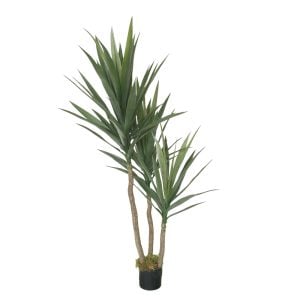 3300P5228GR 3300P5228GR (EA) - Green/Cream 63"H Yucca Tree w/3 Heads & 76 Lvs in Pot