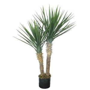 3300P5241GR 3300P5241GR (EA) - Green 40"H Yucca Rostrata Tree X 2 w/125 Lvs