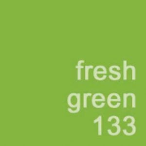 8700DM133GR (EA) - Fresh Green Just For Flowers Spray Paint X 11 Oz