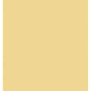 8700DM231GD (EA) - Gold Medal Premium Metals Spray Paint X 11 Oz
