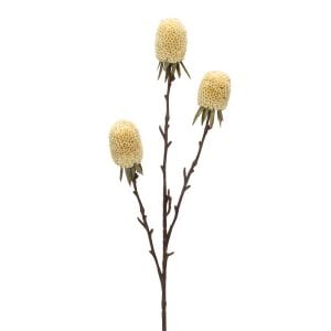 290S38643CR (EA) - Cream 29"H Mum Bud Spray × 3