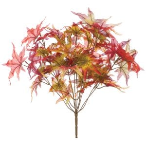 350PBM012 350PBM012 (EA) - Burgundy Flame 17"H Japanese Maple Leaf Bush × 12